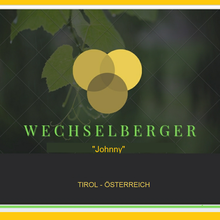 Tiroler Wein 8