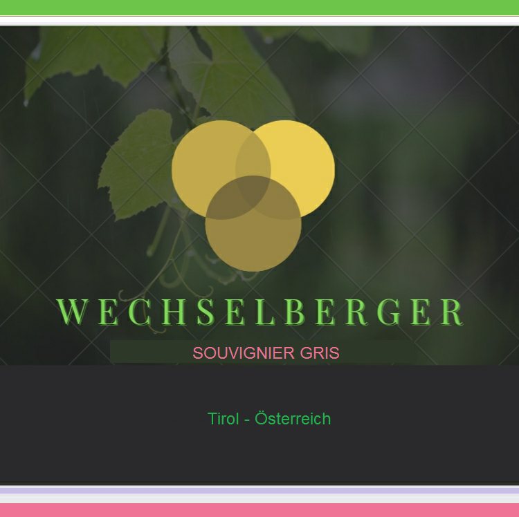 Tiroler Wein 7